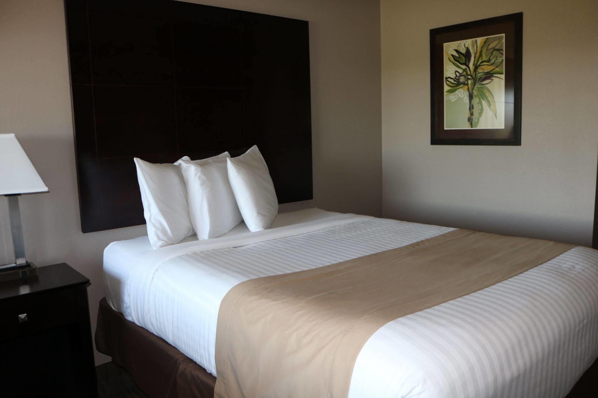 Qube Hotel - Polk City Ngoại thất bức ảnh